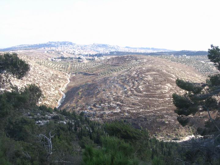hills of Megiddo, towards South and Um-El-Fakhem