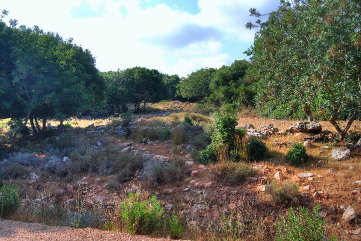 Ruins at Khirbet Beit Uriya - view from the south