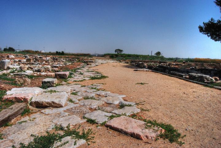 Afek, Sharon: The Cardo; view towards south east