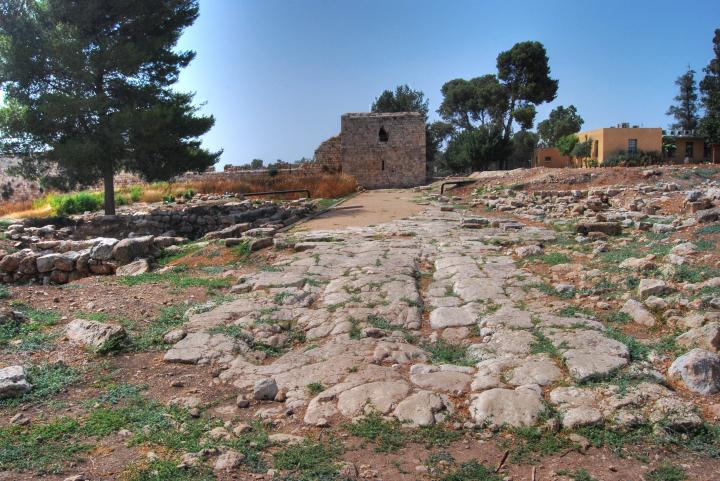 Afek, Sharon: The Cardo; view towards the north west