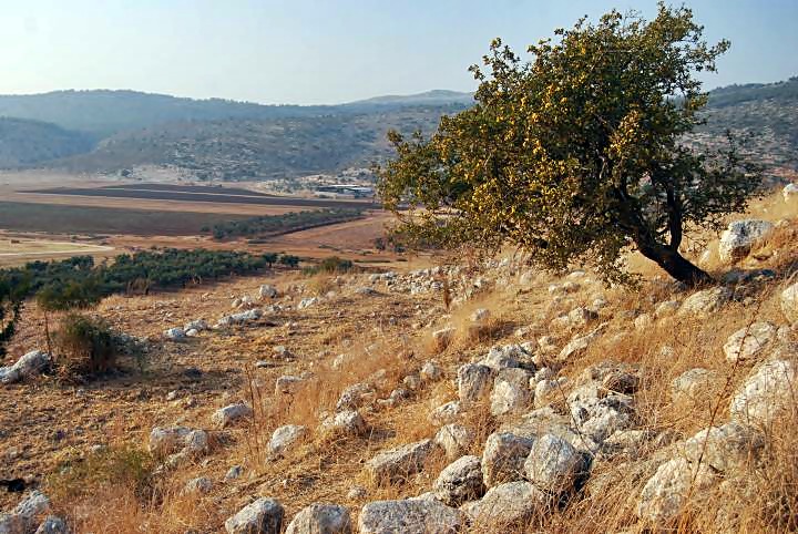 Tell Ya'anin: Biblical Ne'iel - view towards the north-west