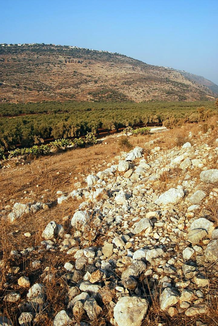 Tell Ya'anin: Biblical Ne'iel - view of the north slopes
