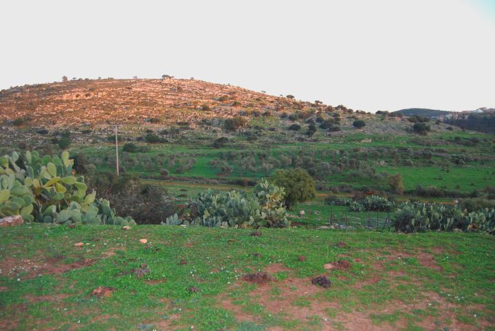 West view of Khirbet Hannania