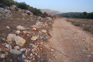 Roman road near Ibilin in the lower Galilee