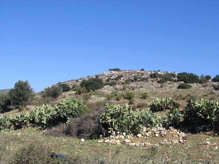 View of Kefar Hannania from the south.
