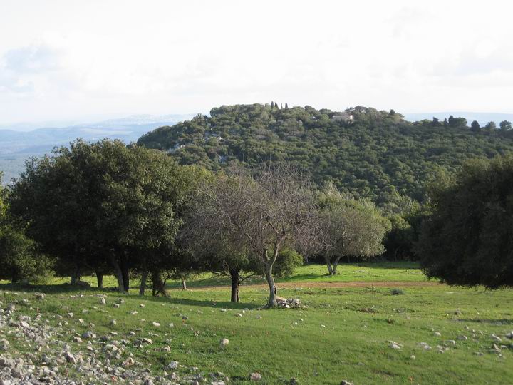 View of Keren-Carmel from the north.