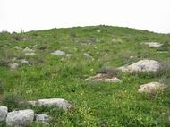 View of the eastern hill of Khirbet Sharta/Sharata/Sirta- looking from the north side.