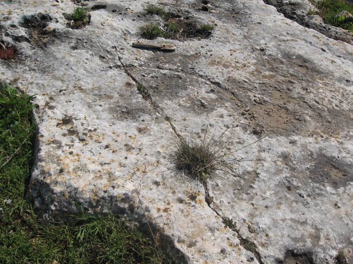 Installations and rock-cuttings on the slope of the hill west to Khibet Sharta. Here, a stone cutting was aborted due to a crack.