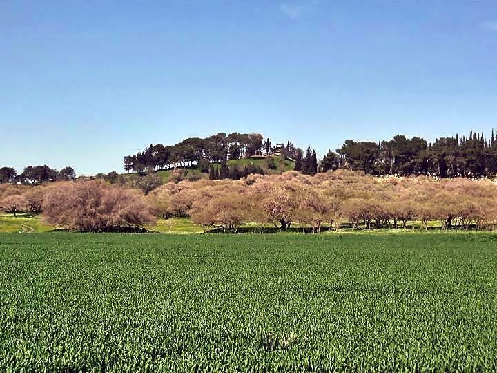 View of Tell Shimron from the south.
