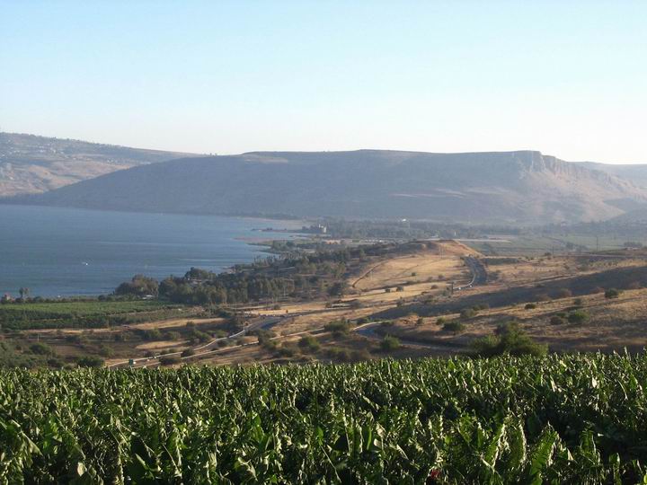 This is the view of Tell Kinneret from the north, on mount beatitudes.