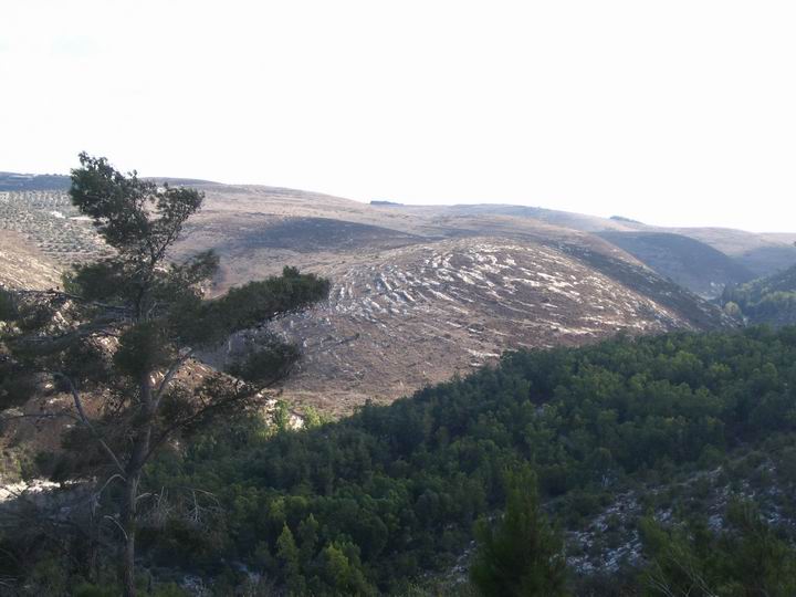 hills of Megiddo, towards South-West.