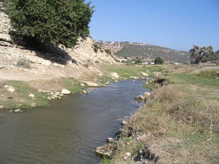 Traces of a prehistoric site in Nahal Zippori (8,300-4,500BC)