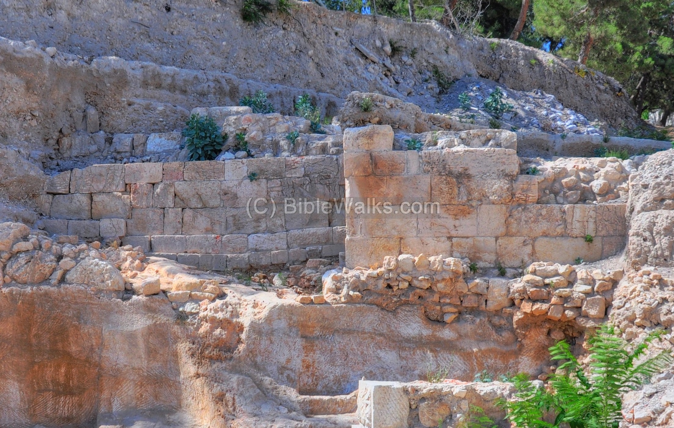 Mount Zion: A Tapestry Of History, Faith, And Cultural Significance ...