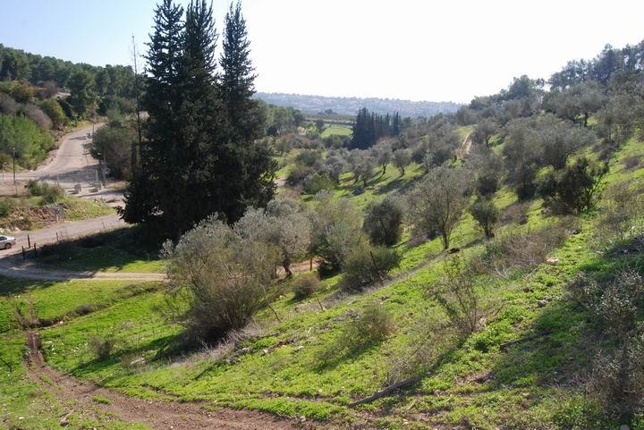 Ma'Alul/Nahalal: Ein Timrat and west valley