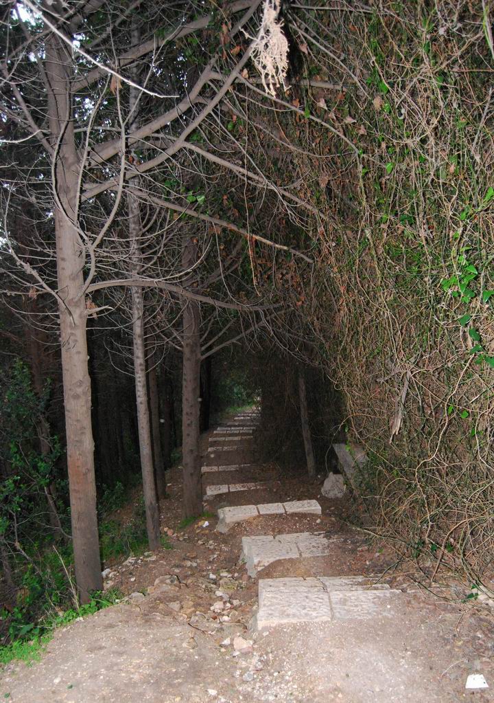Path to Elijah's cave - lower section