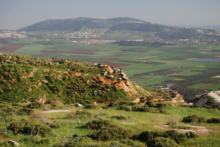 View from the church of Our Lady of the Fright, towards the south-east - Jezreel valley