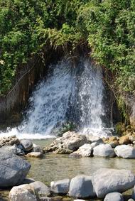 Job's waterfall and spring at Tabcha