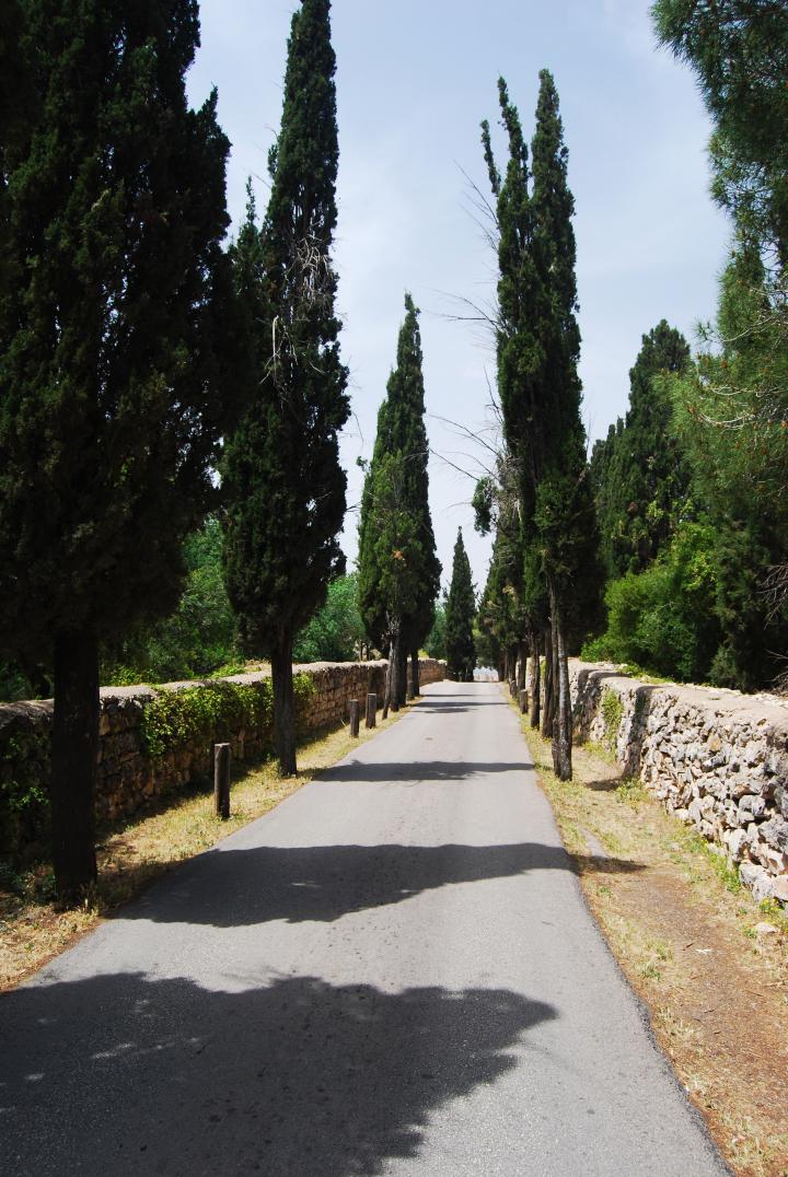 Access road to the Franciscan Monastery
