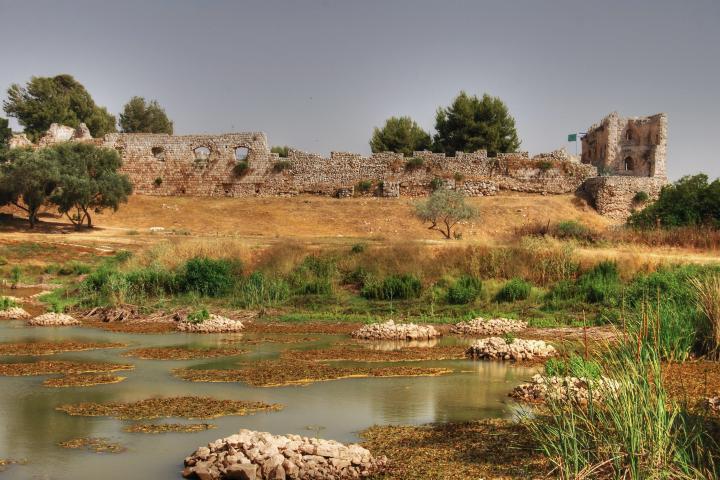 Afek in the Sharon: view from the north
