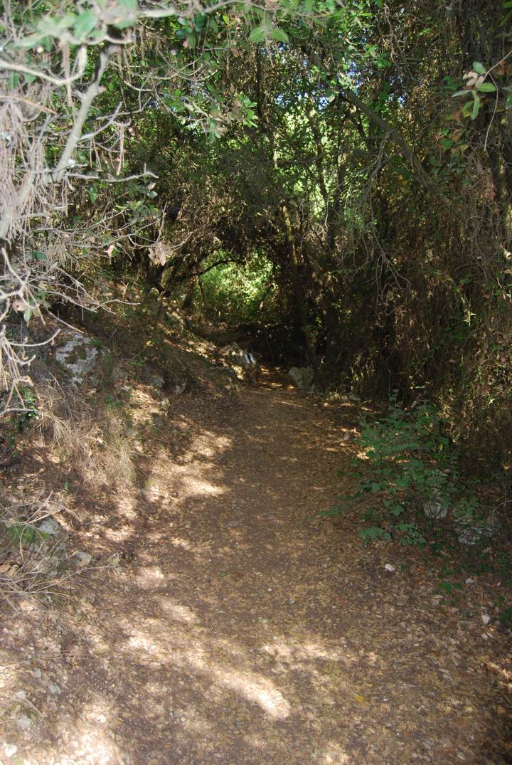 Siah brook - nature trail