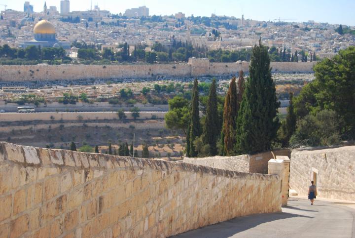 Dominus Flevit: the road that descends from Mt Olives