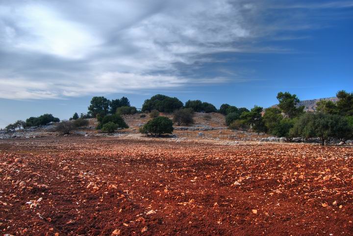 Khirbet Seraf near Ya'ara. View from the east.