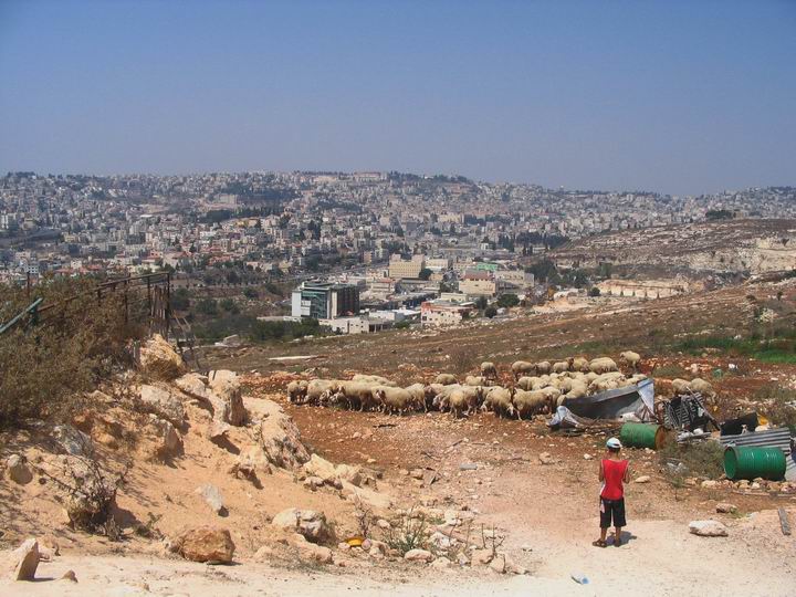 Mt Precipice - view towards Nazareth
