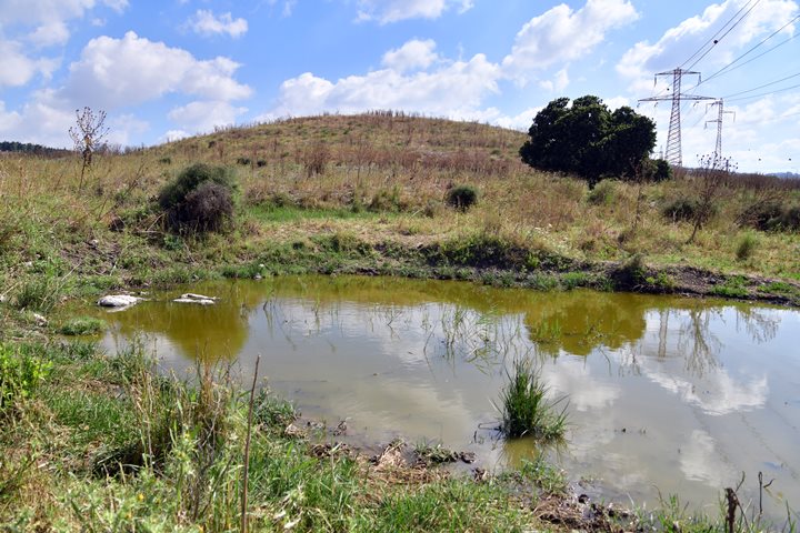 View of Tell Sarid from the south.