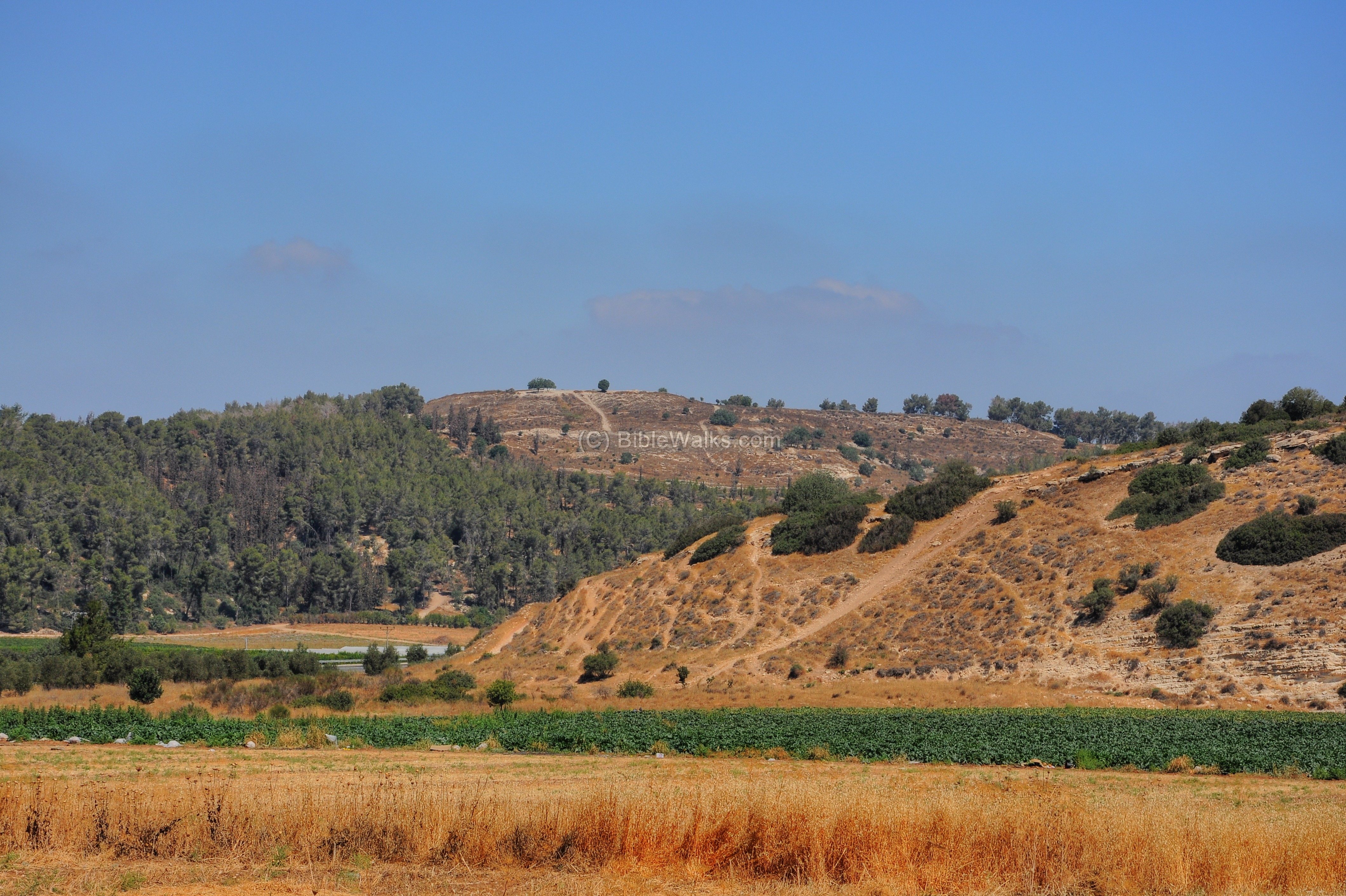 Valley of Elah - BibleWalks 500+ sites