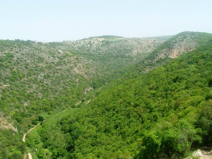 View of Kziv creek - from Monfort castle towards north.